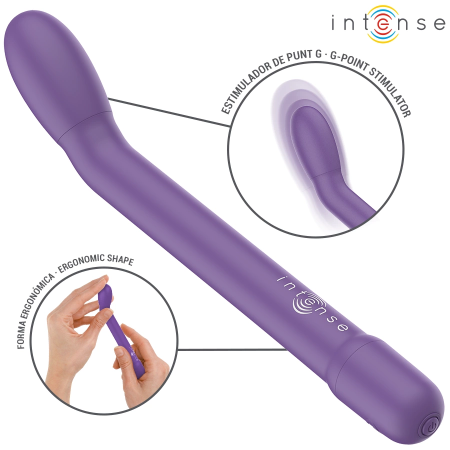 INTENSE FUN G-Spot Vibrator Model 9173, USB, Deep Purple, 19cm