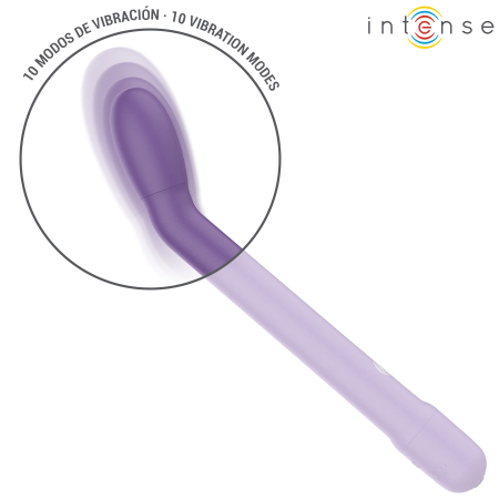 INTENSE FUN G-Spot Vibrator Model 9173, USB, Deep Purple, 19cm