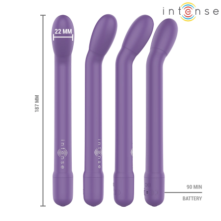 INTENSE FUN G-Spot Vibrator Model 9173, USB, Deep Purple, 19cm