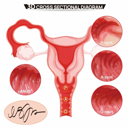 Kokos Real Hips 004 Intimate Machine Vanilla Double Layer TPE