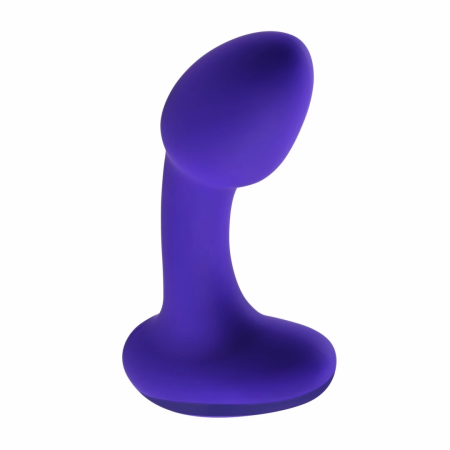 Evolved Novelties Anybody's Plug Purple - Ergonomic Wavy Design Small