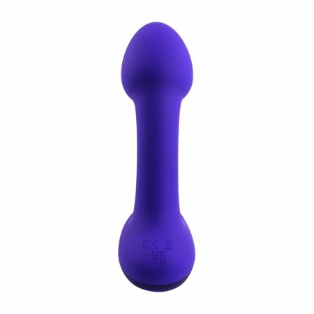 Evolved Novelties Anybody's Plug Purple - Ergonomic Wavy Design Small