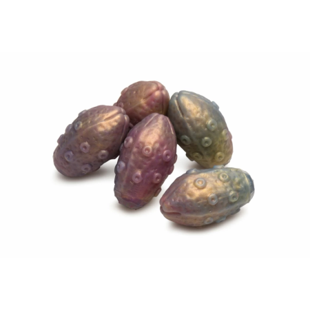 XR Brands Deep Invader Silicone Tentacle with Removable Eggs, Multicolor