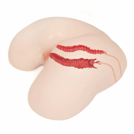 Kokos Maria Intimate Machine Anatomical Hip Model Ultra-Soft TPE