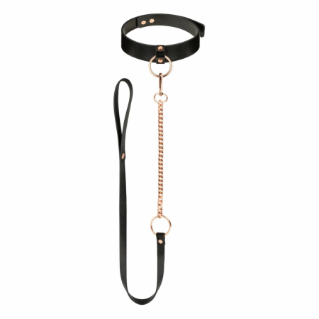 Rosy Gold Adjustable Faux Leather Collar with Detachable Leash Black