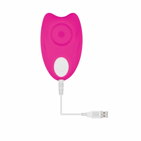 Evolved Under the Radar Pink Intimate System with Remote Control