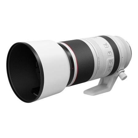 Canon RF 100-500mm F4.5-7.1L IS USM Teleobjektyvas