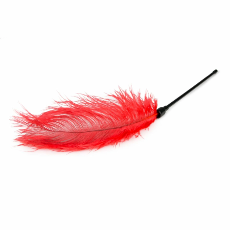 EasyToys Red Feather Sensual Tickler - Elegant Touch Accessory