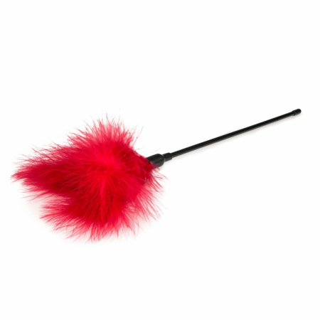 EasyToys Red Feather Tickler - Long Handle Sensual Accessory