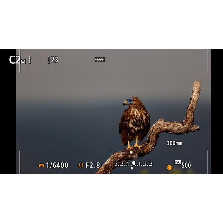 Canon EOS R7 + RF-S 18-150mm IS STM MILC 32,5 MP