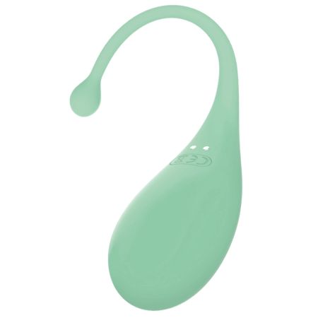 Adrien Lastic Palpitation Mint App-Controlled Intimate Bullet 18cm