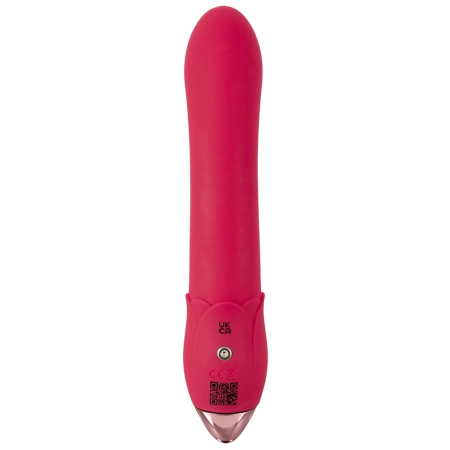 You2Toys Showers to Orgasm Intimate Vibrating Shower System 20.1 cm