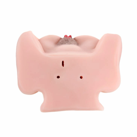 Baile Passion Lady Anatomical 3D Intimate System with Voice, 10kg