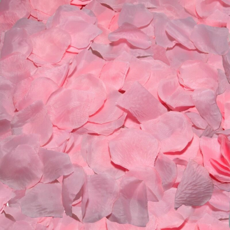 Diablo Picante Decorative Pink Rose Petals Set - 100 Pieces