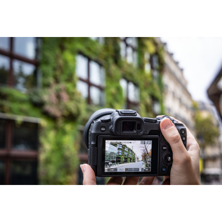 Canon EOS R8 MILC 24,2 MP Juoda