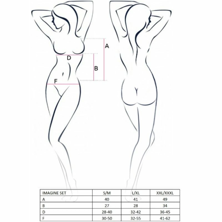 Passion Imagine Set L/XL - Black Mesh Lingerie Set for Women