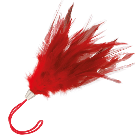 Darkness Red Sensory Feather Wand 20cm - Soft Touch, Ergonomic Handle