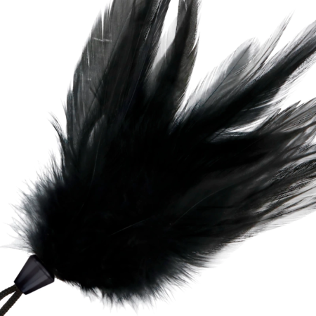 Darkness Black Feather Teaser 20cm - Sensation Play Accessory