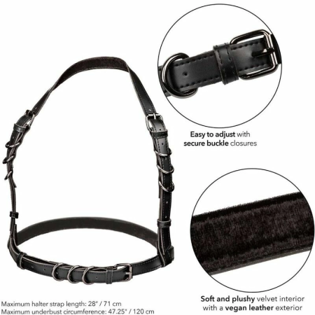 CalExotics Euphoria Plus Size Halter Buckle Harness Black Vegan Leather