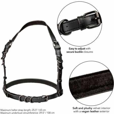 CalExotics Euphoria Halter Buckle Harness Black - Adjustable Vegan Leather