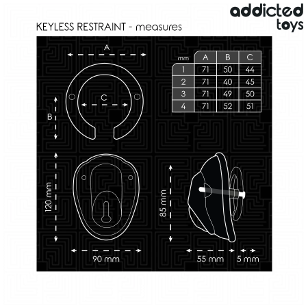 Addicted Toys Shell Cage Keyless Chastity System 11.5cm Clear Set