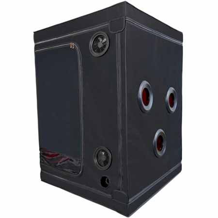 SECRET DOME KINK CLUB Cabin SCANDALE Black & Red Modular Restraint Set