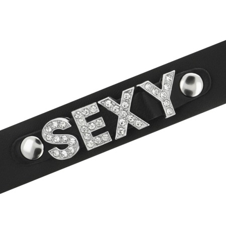 Coquette Chic Desire Vegan Leather Adjustable Black Choker Collar