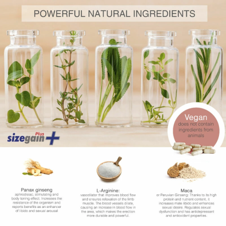 500 Cosmetics SizeGain Plus Dietary Supplement for Men 30 Tablets