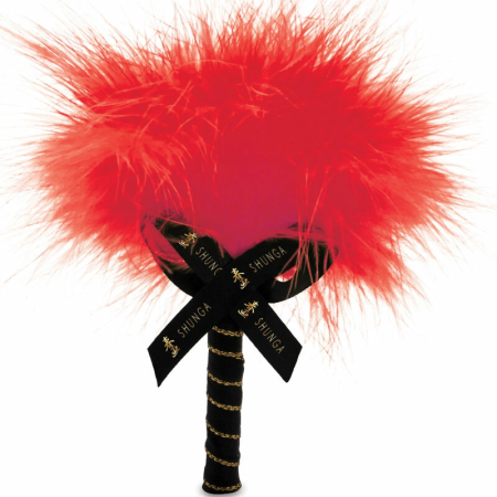 Shunga Strawberry Edible Massage Powder Kit 75g - Scented Body Care Set