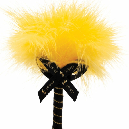 Shunga Edible Body Powder Mango 75g - Sensual Dry Massage Kit with Feather Brush