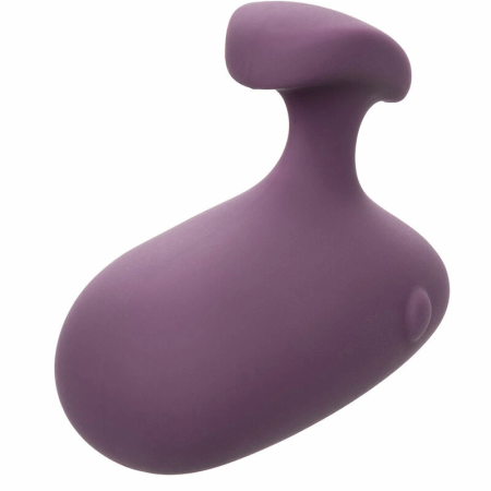 CalExotics Mod Touch Handheld Massager Purple, 10-Speed, Waterproof