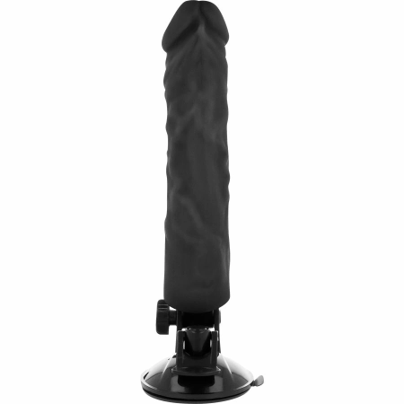 BASECOCK Remote-Controlled Flexible Model Black 21cm x 4cm TPE