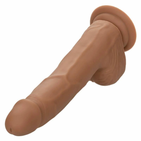 CalExotics Silicone Studs 20 cm Brown - Flexible Anatomical Model with Suction Base