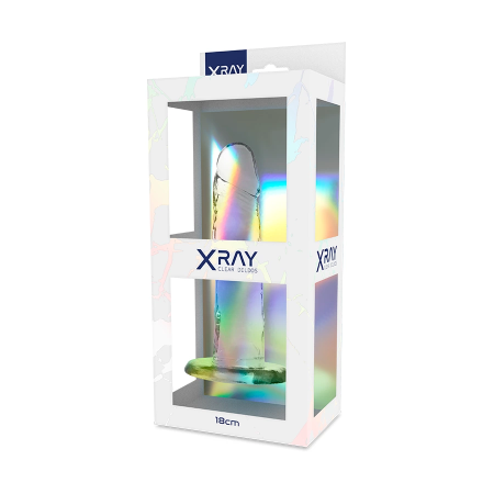 XRAY Clear 18 cm Transparent Intimate Model with Suction Base