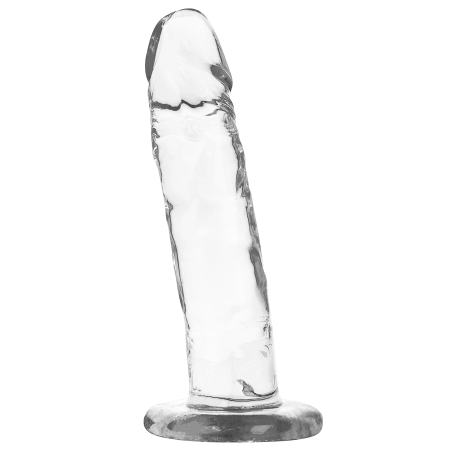 XRAY Clear 18 cm Transparent Intimate Model with Suction Base