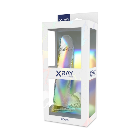 XRAY Clear 20cm Anatomical Model with Base, Transparent Jelly Material