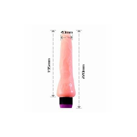 Baile Intimate Vinyl System 19.5cm Multi-Speed Vibrating Model