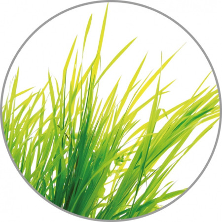 Medisana Aromatinis aliejus Citrinžolė