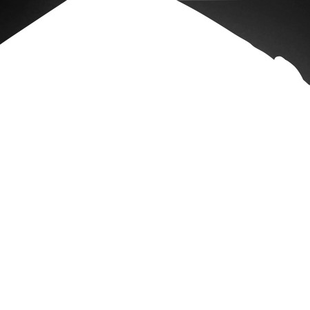 HP Profesionalus 17.3 colių kuprinė