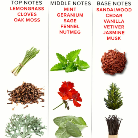 Eye of Love EOL Romantic Parfum Deluxe 50ml - Elegant Pheromone Fragrance