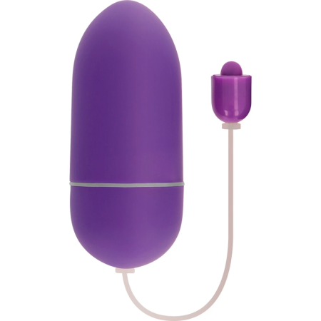 ONLINE Vibrating Egg Waterproof Model Purple 10 Modes Silicone Compact