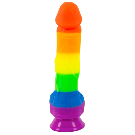 You2Toys PRIDE! Rainbow Silicone Model with Suction Cup 21 cm
