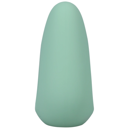 NS Novelties Chi Rechargeable Silicone Mint Intimate Massager