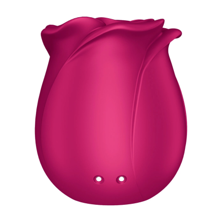 Satisfyer Pro 2 Modern Blossom Rose Pressure Wave Device