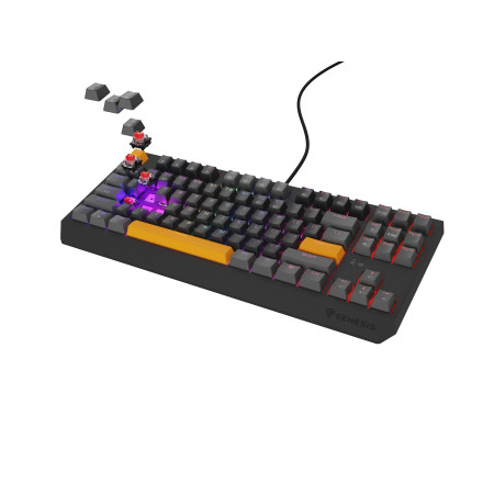 GENESIS Thor 230 TKL žaidimų klaviatūra USB + RF Wireless + Bluetooth QWERTY Juoda, Pilka, Oranžinė