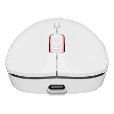 GENESIS Zircon XIII kompiuterio pelė žaidimams