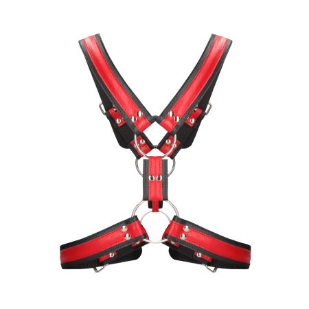 Scottish Bonded Leather Harness L/XL - Adjustable Stainless Steel Detail