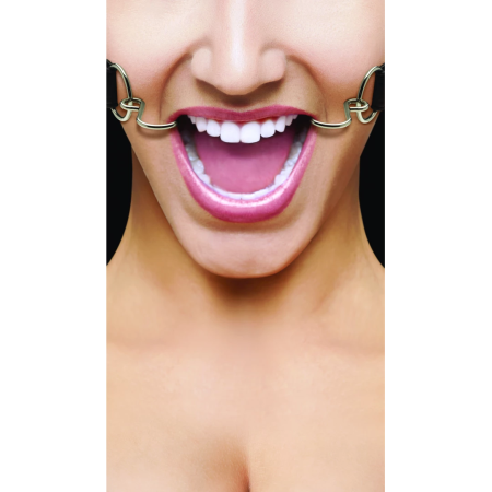 Ouch! Adjustable Leather Strap Hook Gag - Universal Fit, Black