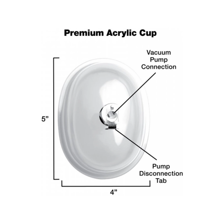 XR Brands Vagina Cylinder Large - Transparent Acrylic Anatomical Cup