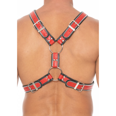 Z Series Scottish Leather Harness S/M - Adjustable Stainless Steel Details